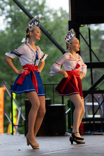 Louis Missouri Usa Srpna 2019 Festival Národů Tower Grove Park — Stock fotografie