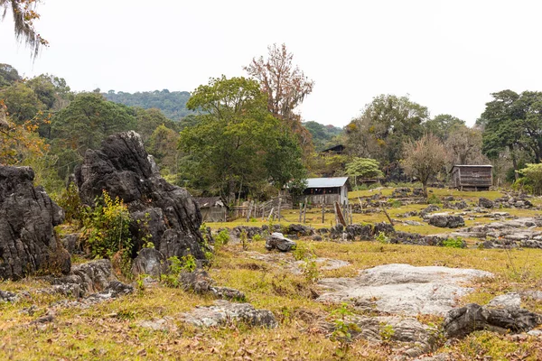 San Jose, Meksika 'nın Tamulipas eyaletindeki küçük bir dağ kasabası. El Cielo Biyosfer' de eko-turizmle tanınıyor..