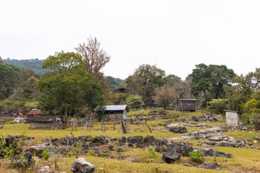 San Jose, Meksika 'nın Tamulipas eyaletindeki küçük bir dağ kasabası. El Cielo Biyosfer' de eko-turizmle tanınıyor..