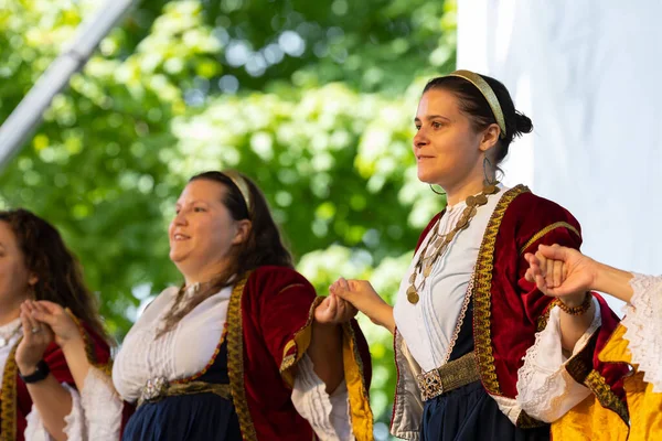 Louis Missouri Usa Srpna 2019 Festival Národů Tower Grove Park — Stock fotografie