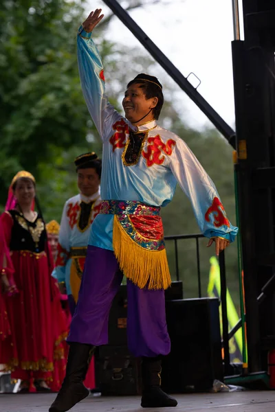 Louis Missouri Usa August 2019 Festival Nations Tower Grove Park — Stock Photo, Image