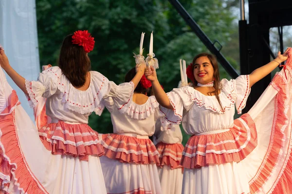 Louis Missouri Usa Sierpnia 2019 Festiwal Narodów Tower Grove Park — Zdjęcie stockowe