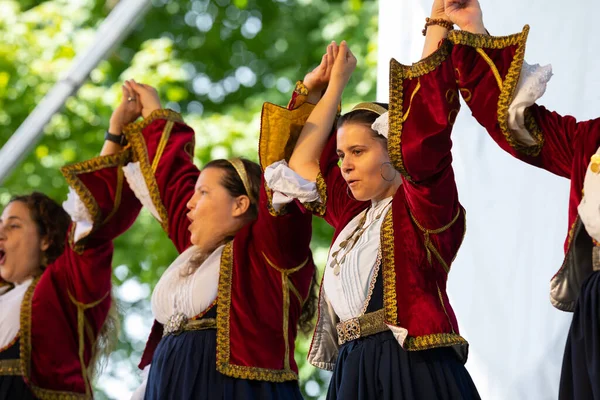 Louis Missouri Usa August 2019 Festival Nations Tower Grove Park — Stock Photo, Image