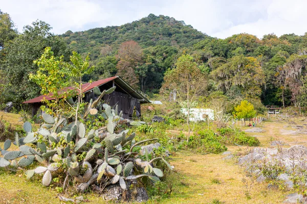 San José Pequeño Pueblo Montaña Estado Tamulipas México Conocido Por — Foto de Stock