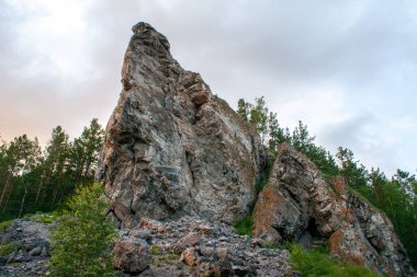 Bulutlu bir gökyüzü ve ağaçtan oluşan arka planda dik bir kaya. Yakın plan.