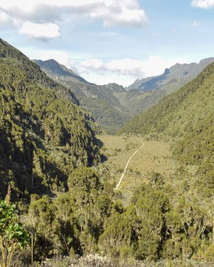 Gökyüzüne karşı manzaralı dağ manzaraları, Rwenzori dağ sıraları, Uganda
