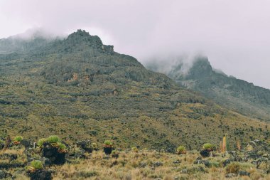 Mount Kenya, Kenya'nın volkanik manzara