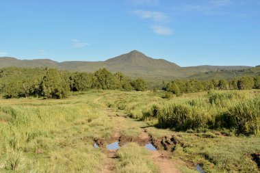 Yüksek irtifa moorland çerçevede bir dağ, Kenya dağı