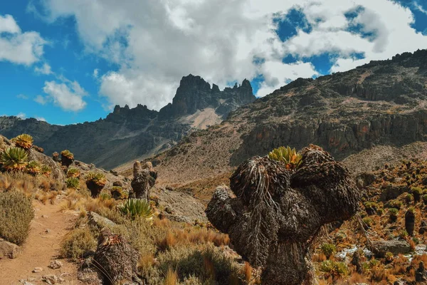 Paisagens Montanhosas Panorâmicas Contra Céu Parque Nacional Monte Quênia Quênia — Fotografia de Stock