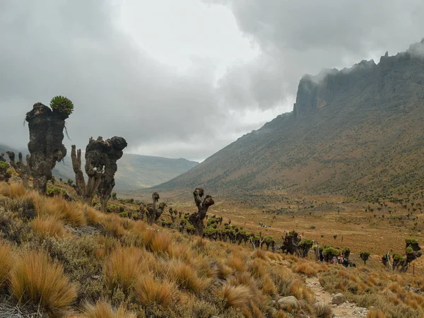 Valle Volcánico Sobre Fondo Montañoso Brumoso Parque Nacional Monte Kenia — Foto de Stock