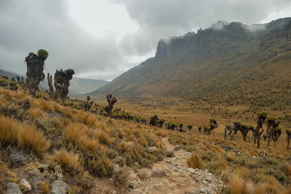 Valle Volcánico Sobre Fondo Montañoso Brumoso Parque Nacional Monte Kenia — Foto de Stock