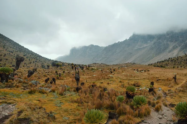 Los Paisajes Volcánicos Del Monte Kenia Kenia — Foto de Stock