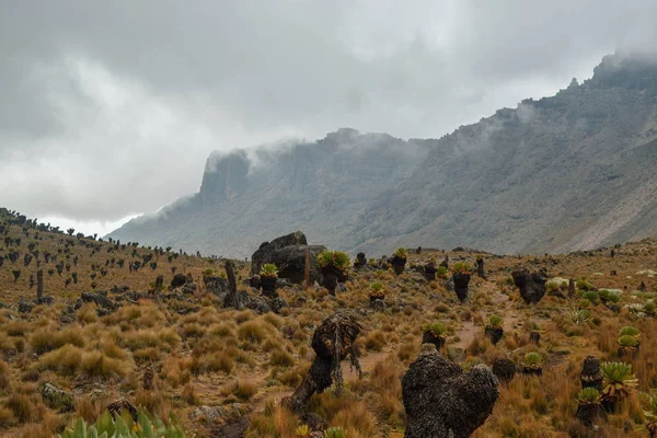 Vulkanische Landschappen Van Mount Kenya Kenya — Stockfoto
