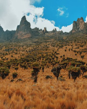 Dev otu çerçevede bir volkanik, Mount Kenya, Kenya
