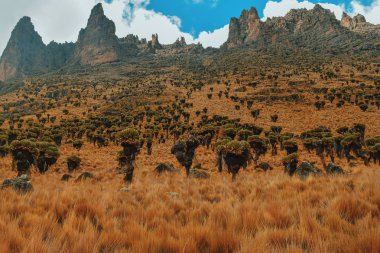 Kenya Dağı, volkanik kaya oluşumları