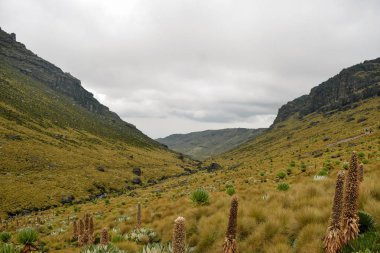 Kenya Dağı, Mount Kenya Milli Parkı volkanik manzara