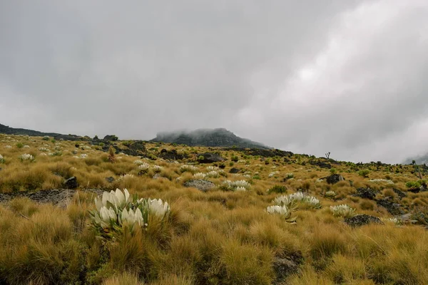 Los Paisajes Volcánicos Contra Cielo Azul Parque Nacional Monte Kenia — Foto de Stock