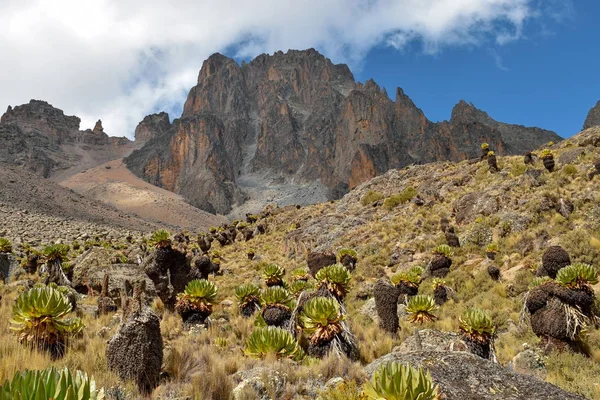 Volkanik manzara mavi gökyüzü, Mount Kenya Milli Parkı, Kenya karşı