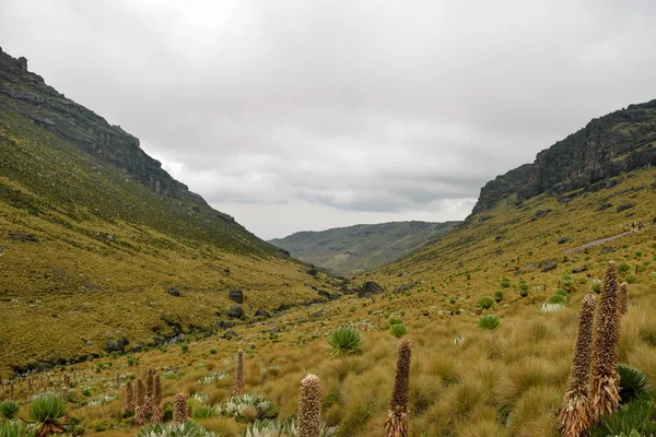 Paisagens Vulcânicas Monte Quênia Parque Nacional Monte Quênia — Fotografia de Stock