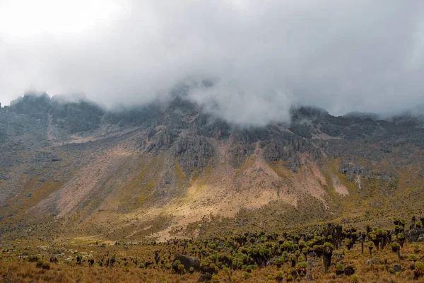 Vulkanische Landschappen Van Mount Kenya Nationaal Park Mount Kenia — Stockfoto