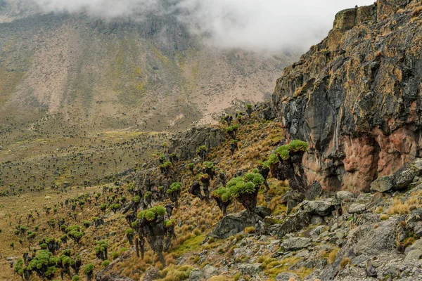 Paisajes Volcánicos Del Monte Kenia Parque Nacional Del Monte Kenia — Foto de Stock