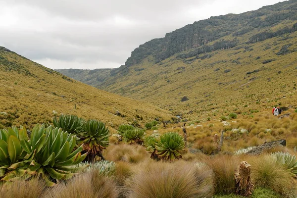 Terre Giganti Sullo Sfondo Una Montagna Parco Nazionale Del Monte — Foto Stock