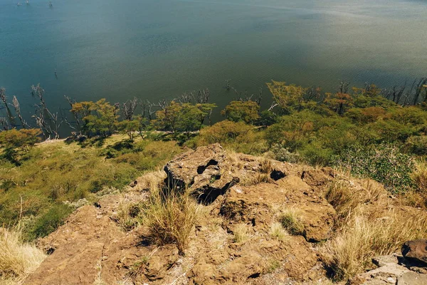 Bomen Langs Oevers Van Lake Nakuru Rift Valley Kenya — Stockfoto