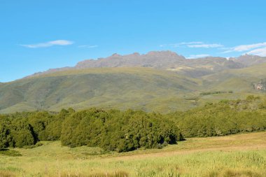 Yüksek irtifa moorland çerçevede bir dağ, Kenya dağı