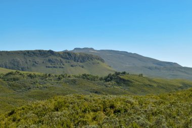 Yüksek irtifa moorland çerçevede bir dağ, Kenya dağı