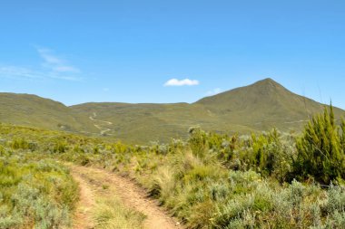 Yüksek irtifa moorland çerçevede bir dağ, Kenya dağı