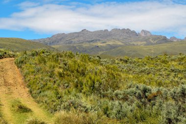 Yüksek irtifa moorland çerçevede bir dağ, Kenya dağı