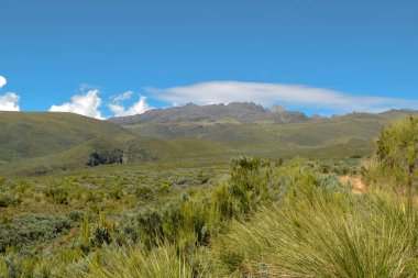 Yüksek irtifa moorland çerçevede bir dağ, Kenya dağı