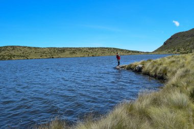 Göl Ellis, Kenya dağı kamp