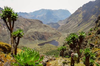 Göl çerçevede bir dağ, göl Bujuku Rwenzori Dağları Milli Parkı, Uganda