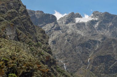 Margherita buzulda Mount Bujuku vadiden gördün mü Stanley. En yüksek dağ içinde Rwenzori Sıradağları, Uganda Mount Stanley olduğunu
