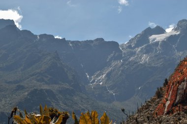 Gökyüzüne karşı manzaralı dağ manzaraları, Rwenzori dağ sıraları, Uganda