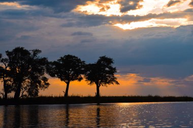 Chobe Nehri 'nde günbatımı gezisi, Chobe National Park, Botswana