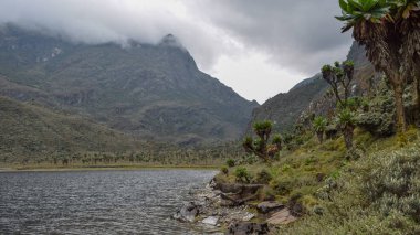 Göl çerçevede bir sisli dağ, göl Bujuku Rwenzori Dağları Milli Parkı, Uganda