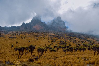 Mount Kenya Milli Parkı, Kenya'nın volkanik manzara