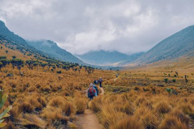 Mount Kenya Milli Parkı, Kenya'nın volkanik manzara