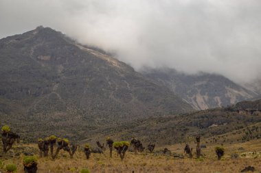 Mount Kenya, Kenya'nın volkanik manzara