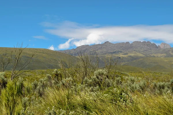 Charneca Alta Altitude Contra Fundo Montanha Monte Quênia — Fotografia de Stock