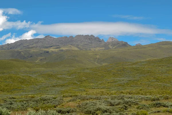 Yüksek Irtifa Moorland Çerçevede Bir Dağ Kenya Dağı — Stok fotoğraf