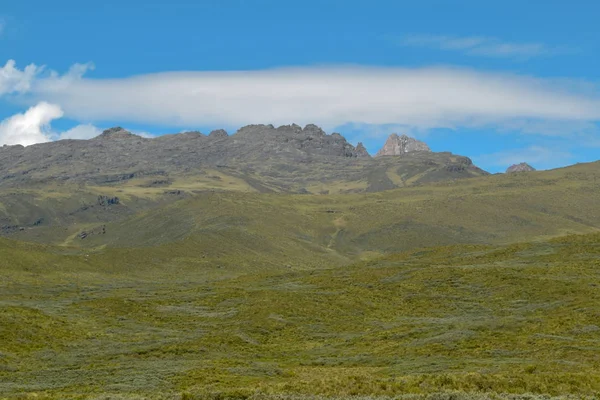 Yüksek Irtifa Moorland Çerçevede Bir Dağ Kenya Dağı — Stok fotoğraf