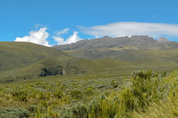 Páramos Gran Altitud Sobre Fondo Montañoso Parque Nacional Monte Kenia — Foto de Stock