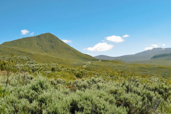 Bir Dağ Arka Planda Yüksek Irtifa Moorland Mount Kenya Milli — Stok fotoğraf