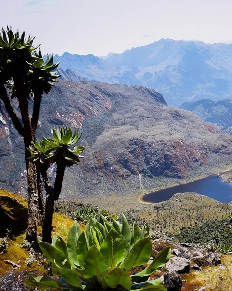 Lago Contra Fundo Montanha Lago Bujuku Parque Nacional Das Montanhas — Fotografia de Stock