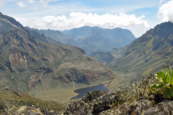 Göl çerçevede bir dağ, göl Bujuku Rwenzori Dağları Milli Parkı, Uganda