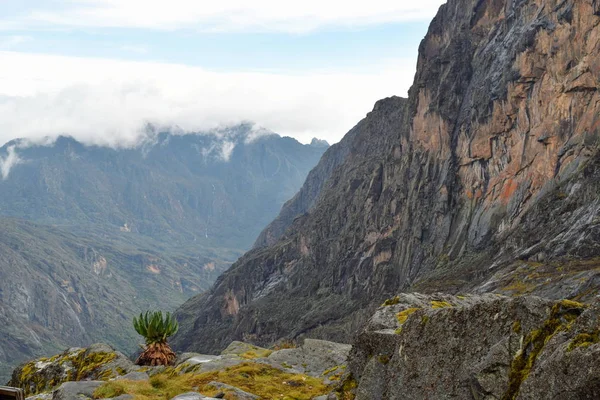 Monte Baker Las Montañas Rwenzori Uganda — Foto de Stock