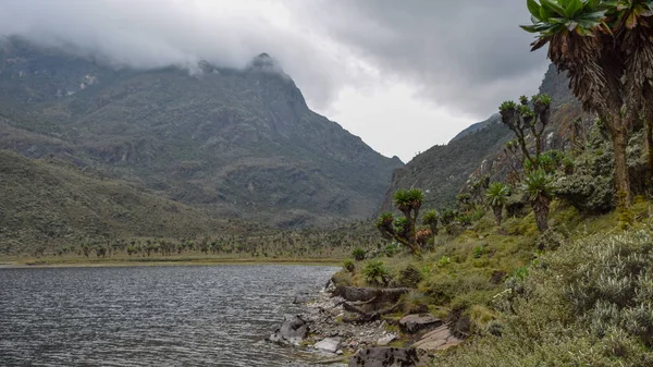 Lago Contra Fondo Montañoso Brumoso Lago Bujuku Parque Nacional Las — Foto de Stock